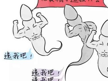 沈阳2026试管助孕机构具体有哪些？附各大医院技术资质讲解