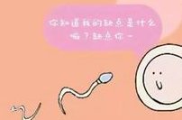 三代试管如何筛选精子与卵子？