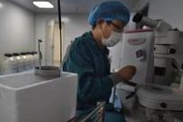 中山博爱医院三代试管费用大概多少？