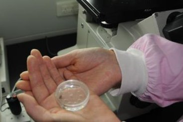 重庆试管助孕医院成功率五强推荐，试管助孕权威生殖医生推荐