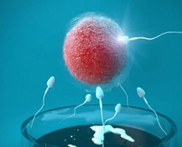 在阿斯塔纳试管婴儿中心做三代试管的流程是怎么样的？三代试管攻略大全